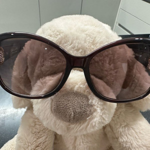 GALLAN 선글라스 G53