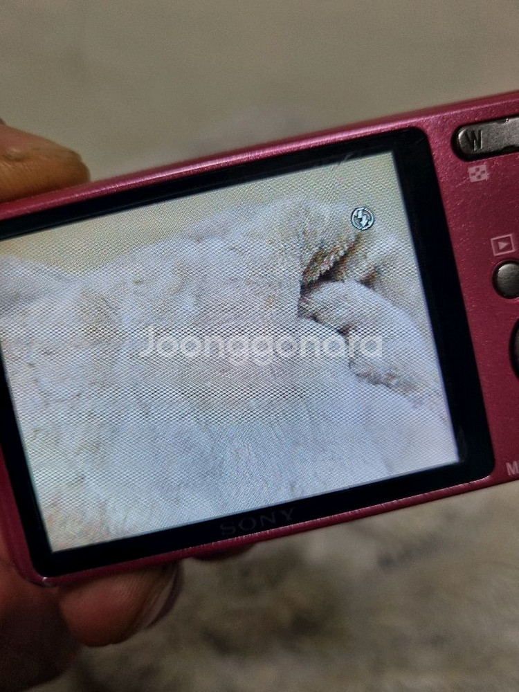 소니 dsc-w570 레트로 디카 빈티지 카메라--6