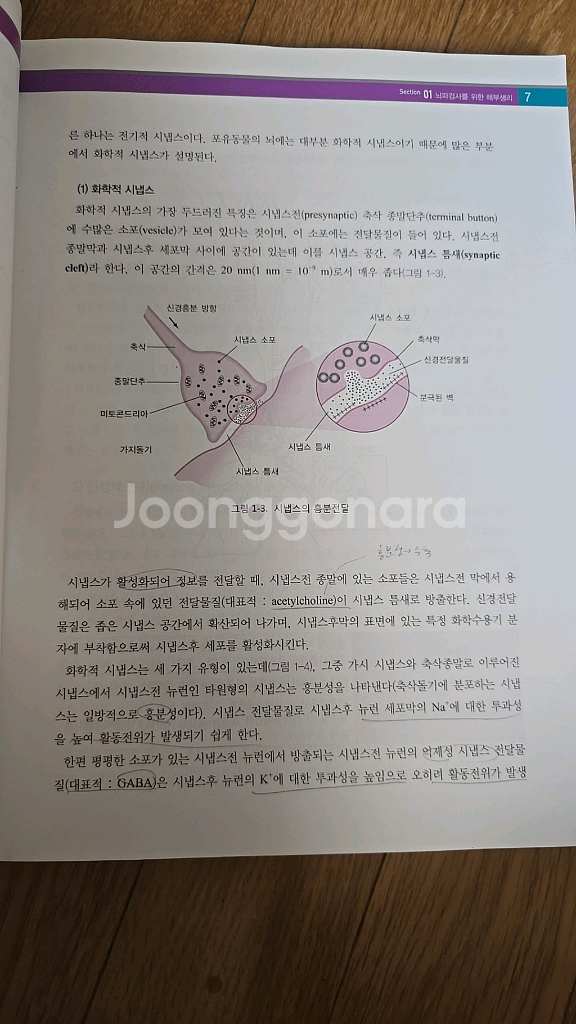 신경기능검사학ㅡ고려의학--2