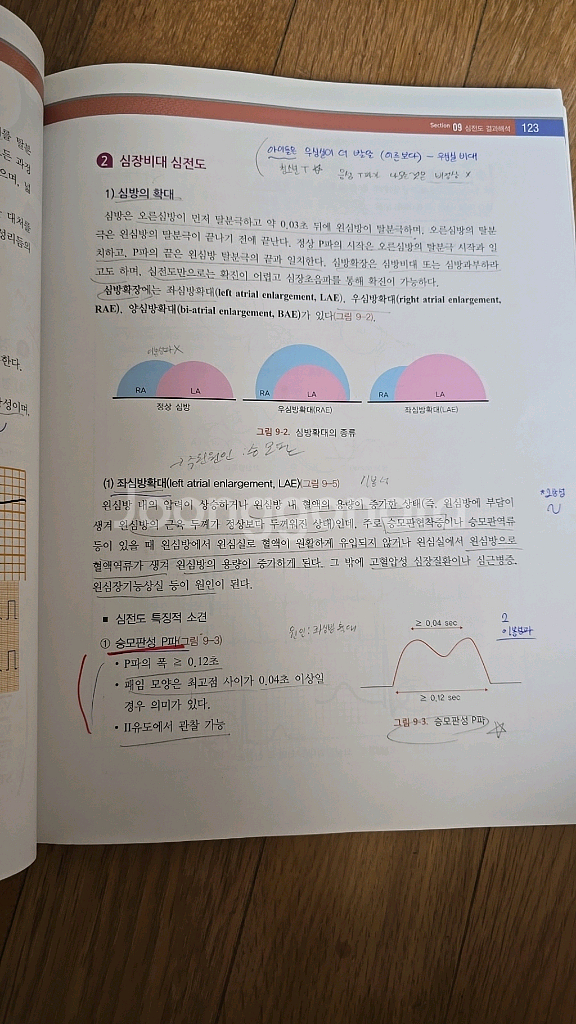 순환생리기능검사학 ㅡ고려의학--3