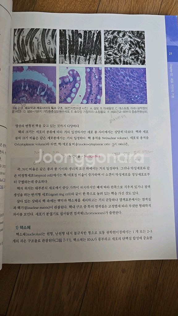 진단세포학--2