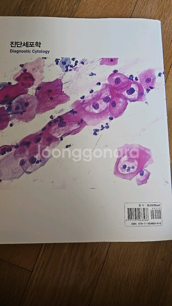 진단세포학--5