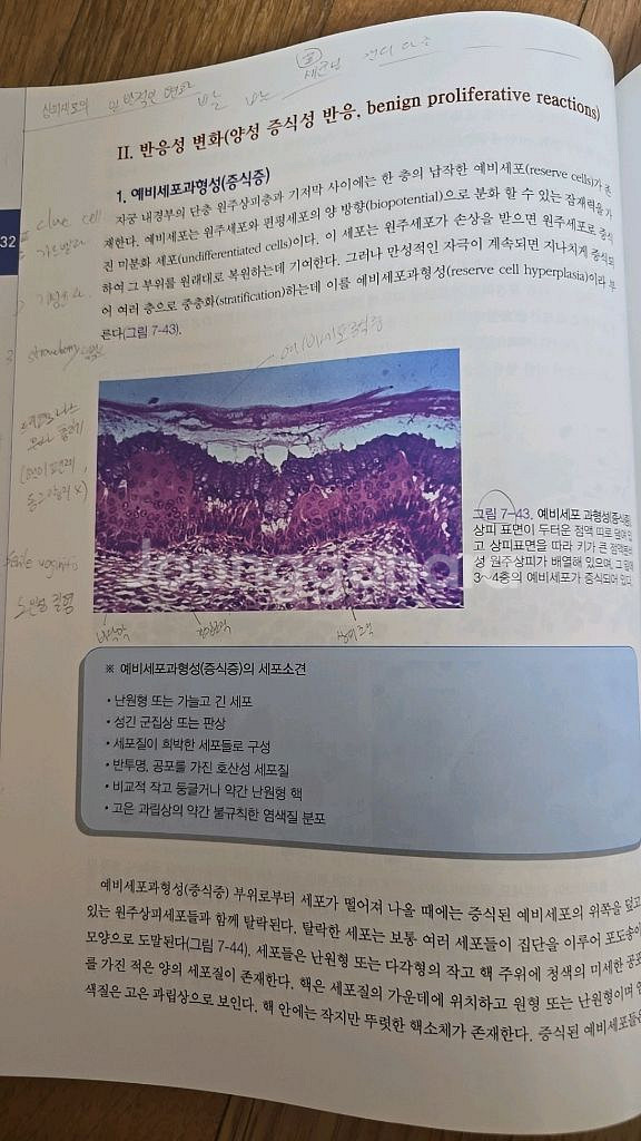 진단세포학--3
