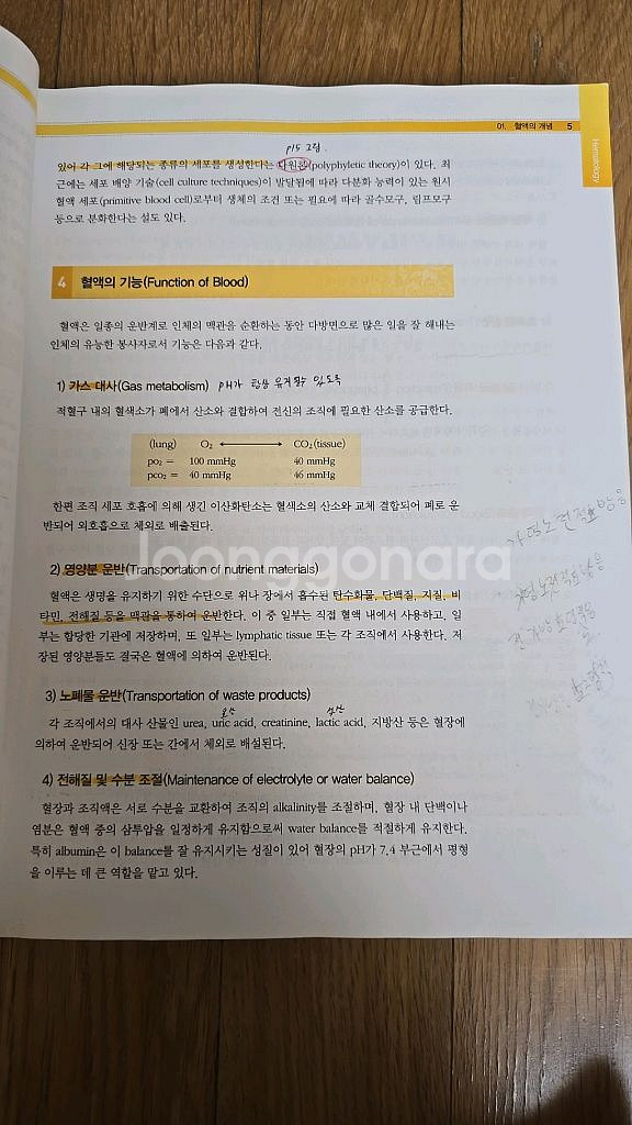 혈액학ㅡ고려의학--2