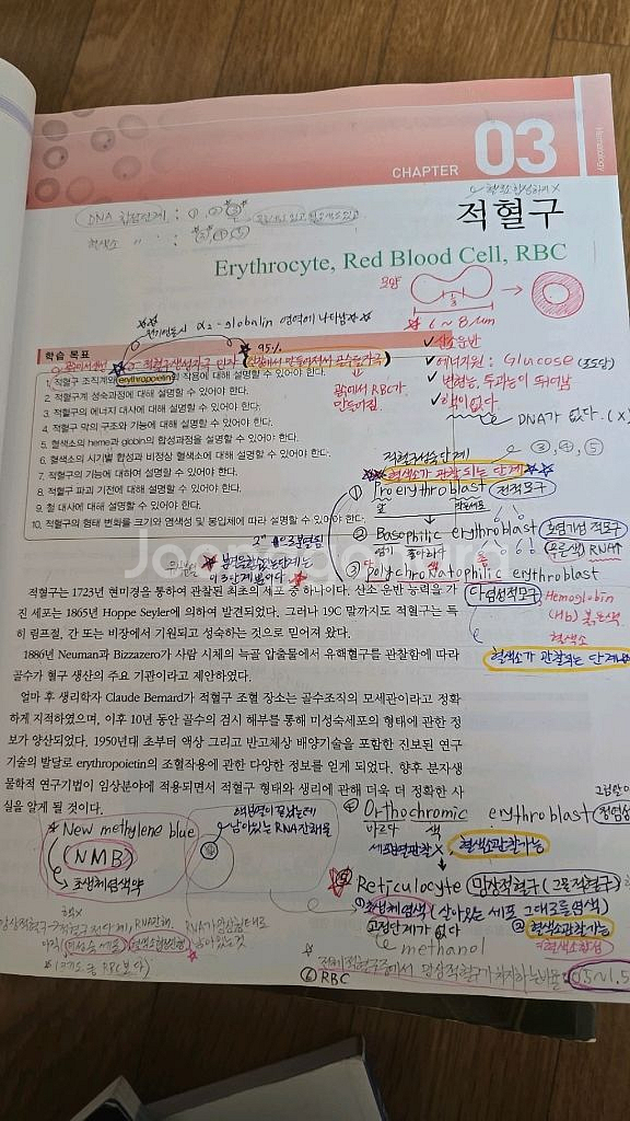 혈액학ㅡ고려의학--6