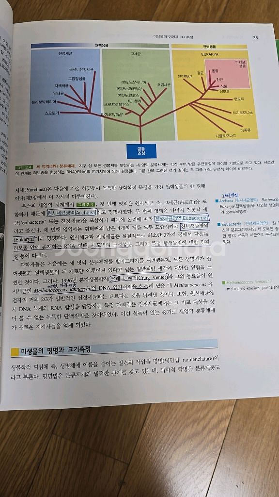 미생물학입문--2
