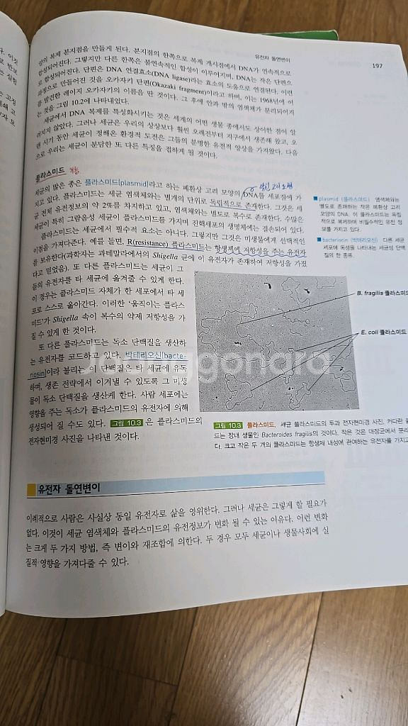 미생물학입문--3