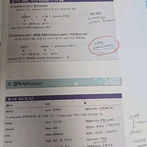 이해하기 쉬운 새 의학 용어ㅡ현문사