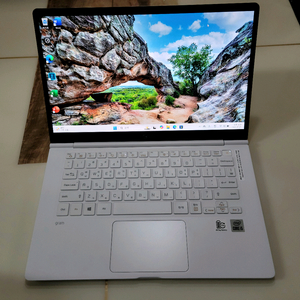 미사용)LG그램 노트북 14ZB995, i5 10세대