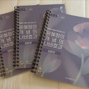 윤혜정의 나비효과 입문편