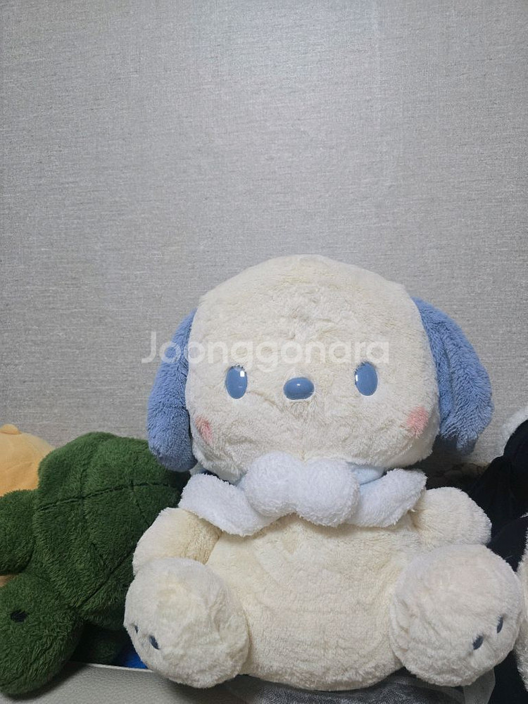 포차코 산리오 일본 한정판 베이비블루엔젤시리즈 대형--1