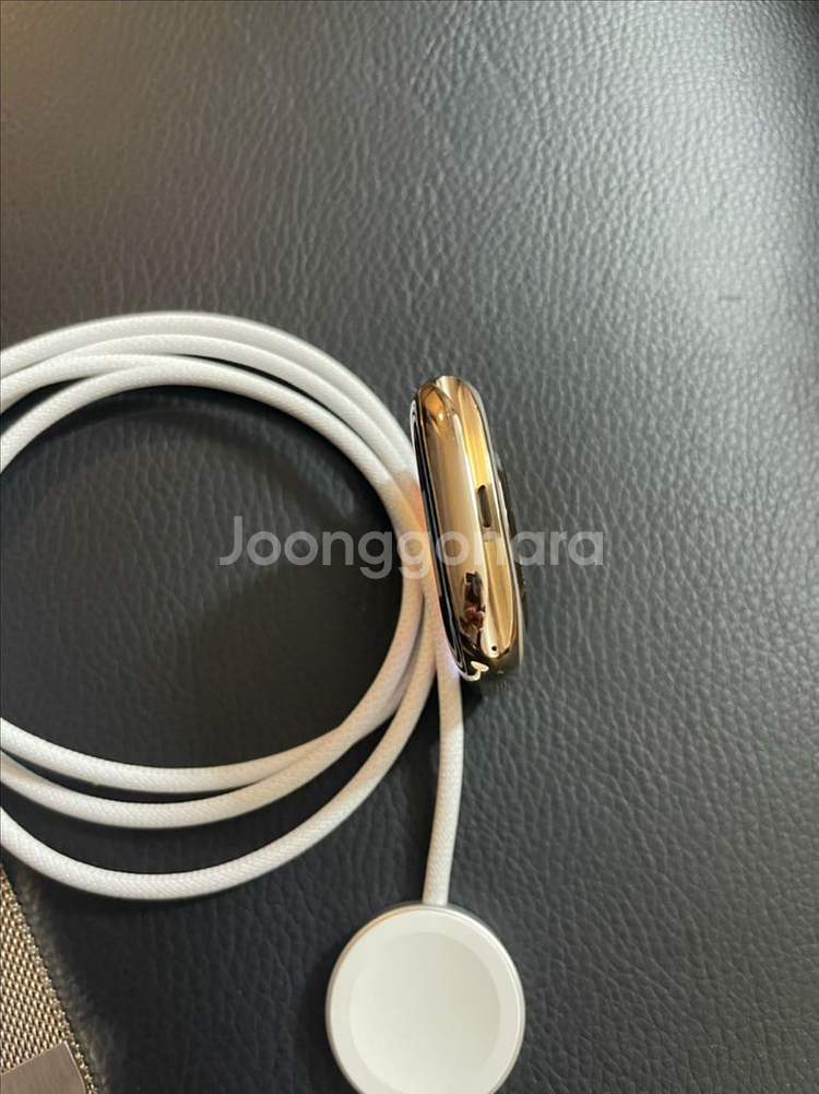 애플워치10티타늄 46mm 밀레니즈 SSS급--4