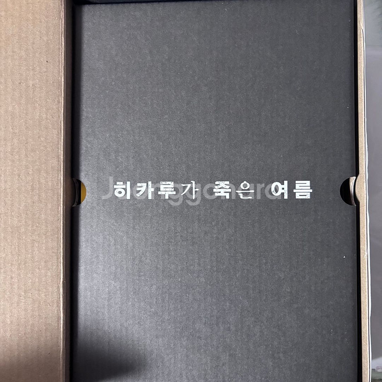 히카루가 죽은 여름 3권 특장판--2