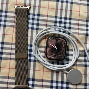 애플워치10티타늄 46mm 밀레니즈 SSS급