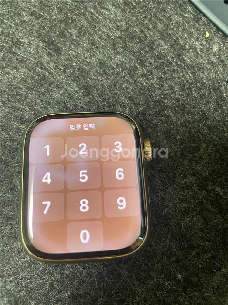 애플워치8 스테인리스골드 44mm--5