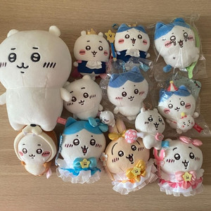 치이카와 세트