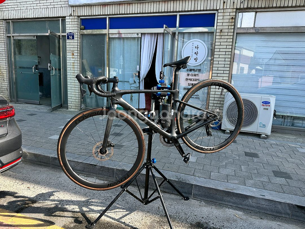 스페셜라이즈드루베콤푸49--0