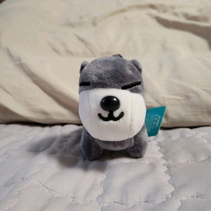 코튼애니 라이독 그레이 강아지 키링 인형