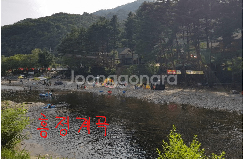 강원도 평창 휘닉스콘토 양도 합니다.8월15일16일)--5