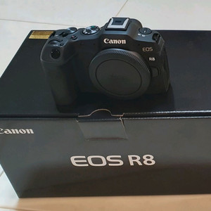캐논 R8 미러리스 카메라바디