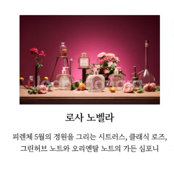 산타마리아노벨라 로사노벨라 바디워시(+샤워볼)--2