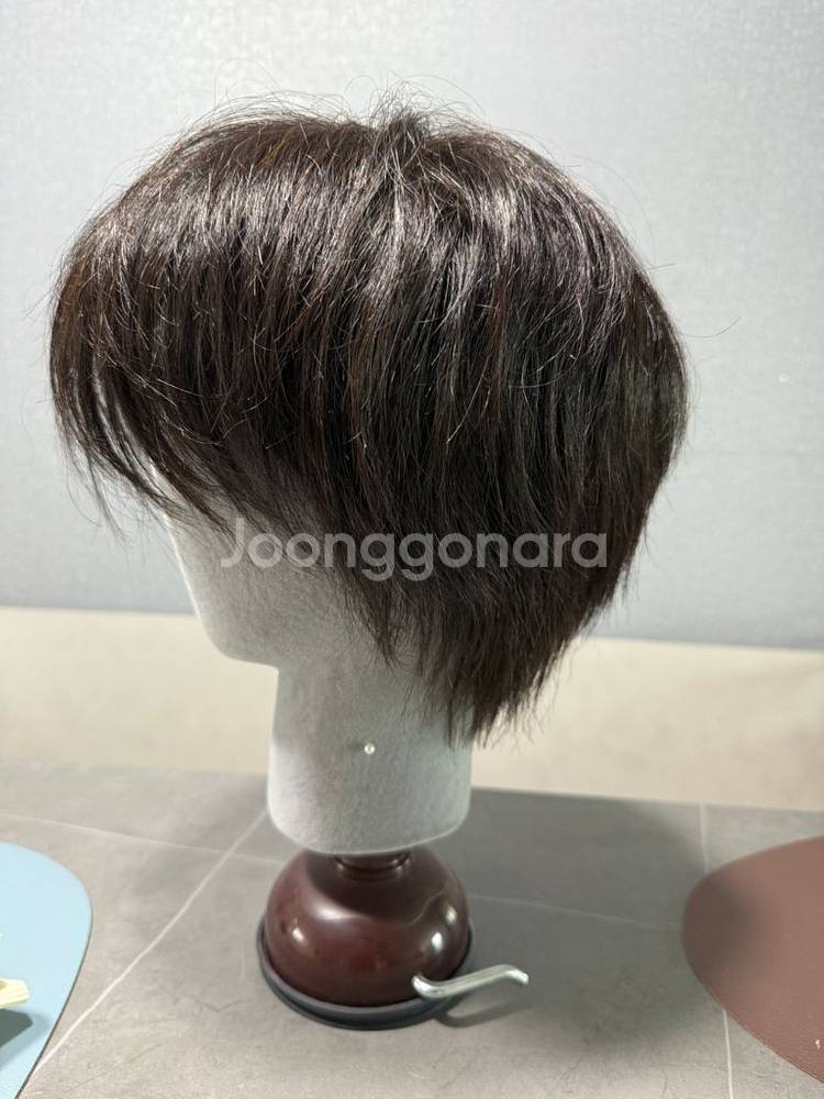 박승철위그스투디오 100% 인모 가발--1