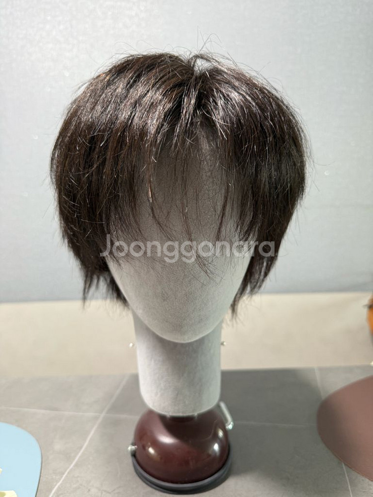 박승철위그스투디오 100% 인모 가발--0