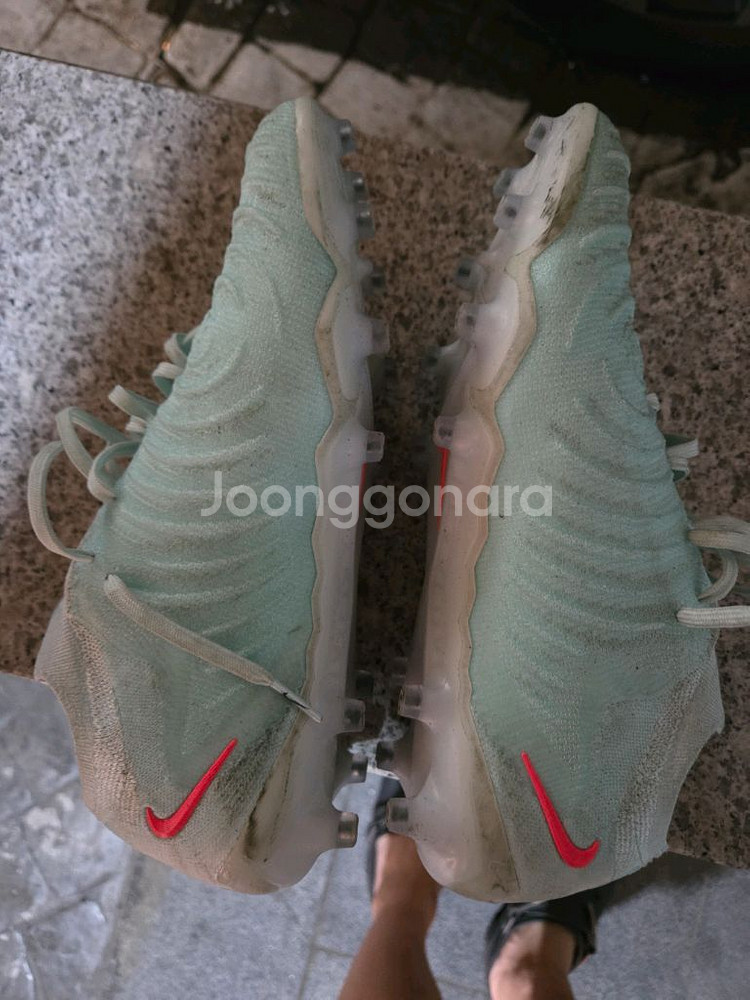 팬텀GX2 ag 250 팝니다--5