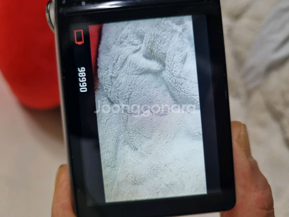 삼성 pl150 한효주 디카 빈티지 카메라--5