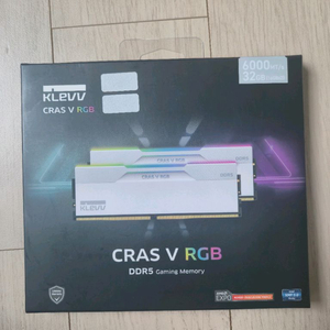 cras v 클레브 화이트 램 ddr5 32gb