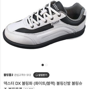 덱스터 dx 볼링화 280 + 햄머 슈즈 커버