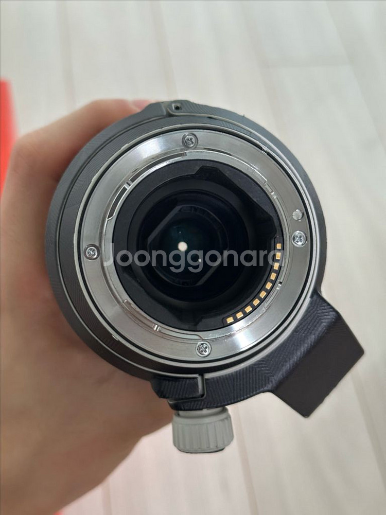 Sony F4 70-200mm Macro G2 OSS--4