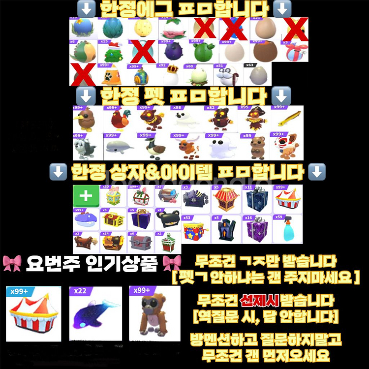 입양하세요 한정 아이템 & 펫--0
