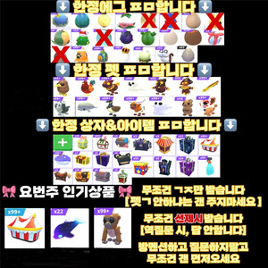 입양하세요 한정 아이템 & 펫