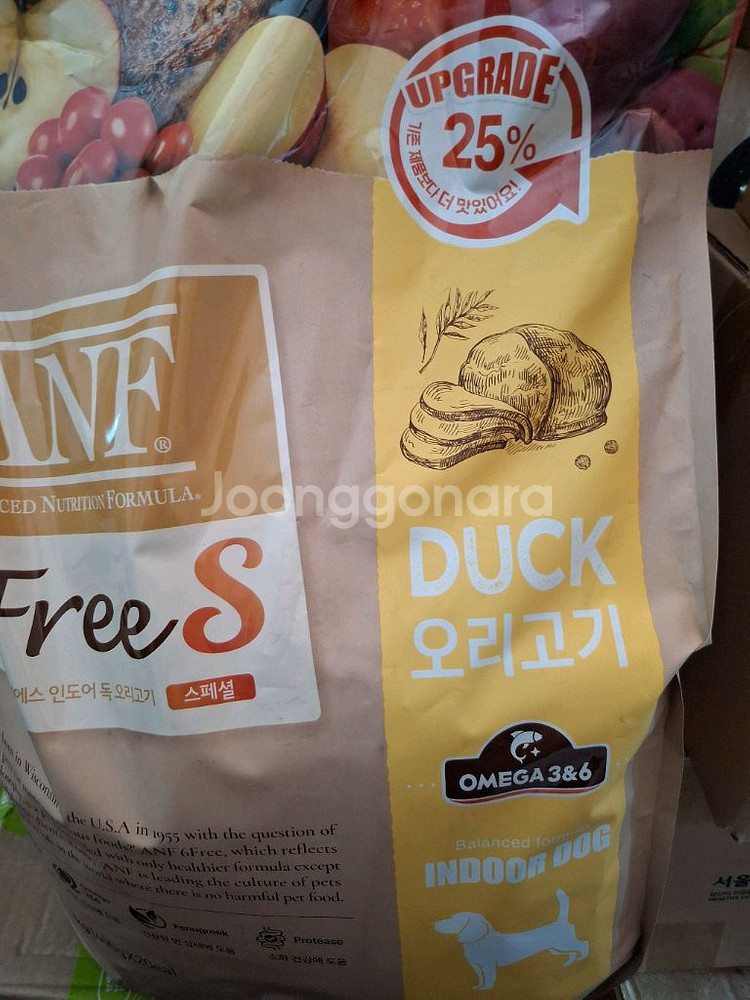 anf 6free 강아지용8kg ㅡ26.9.3인 새상품--1