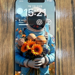 아이폰15 pro max 256gb