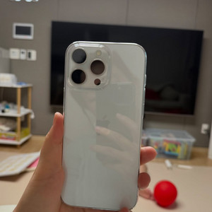 아이폰 16 PRO MAX 512G