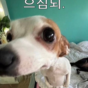 판완