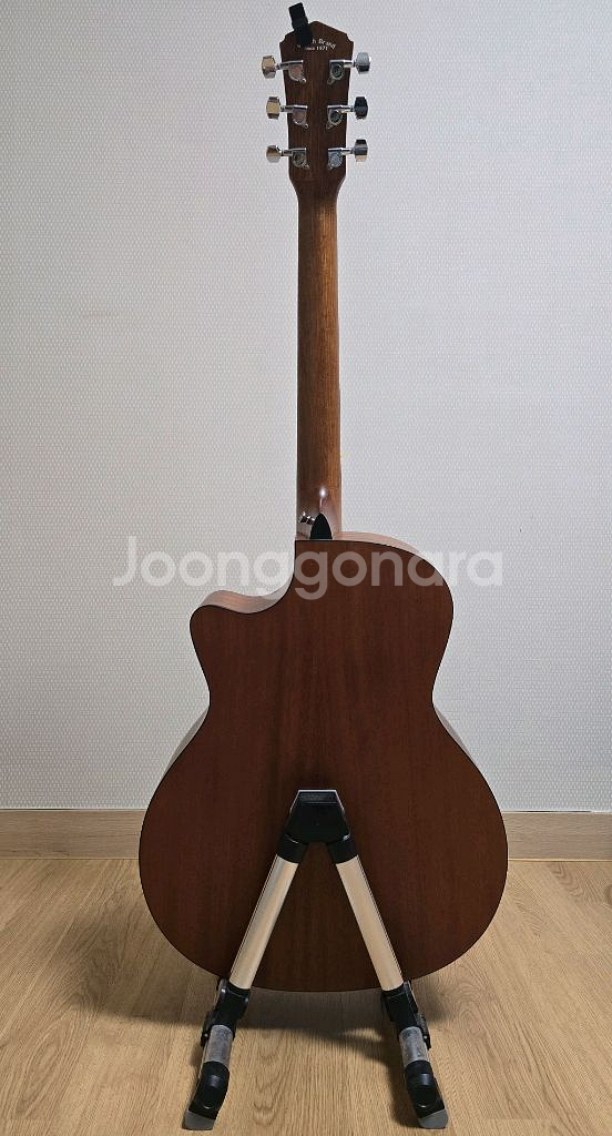비힐라 기타--1
