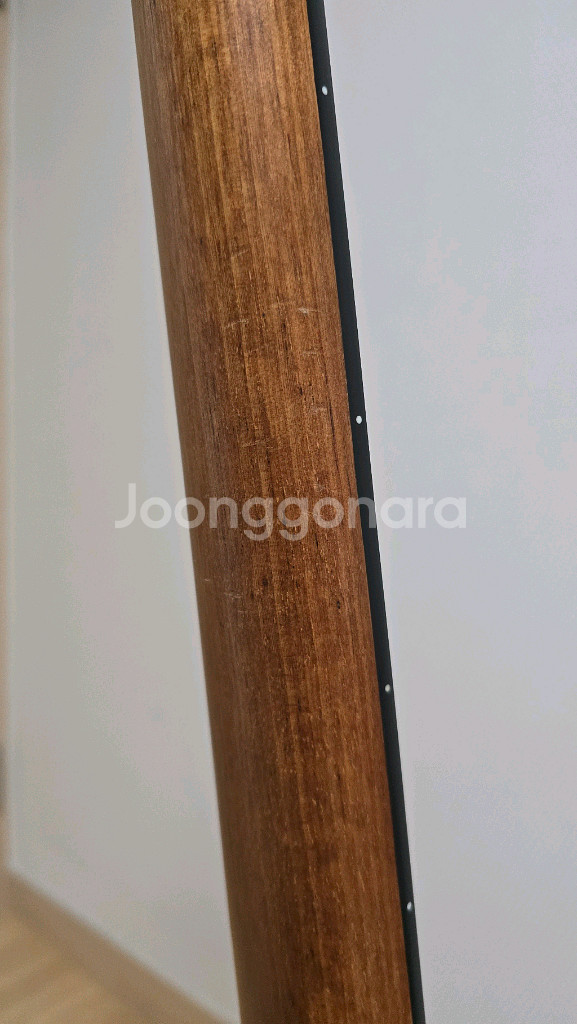 비힐라 기타--3