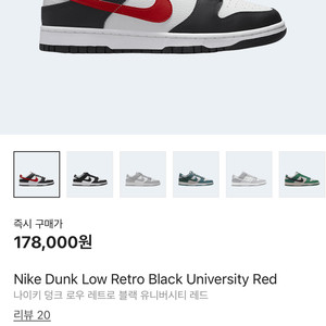 나이키 덩크로우 260