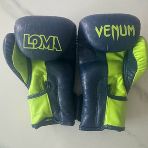 Venum LOMA 복싱 글러브 12oz