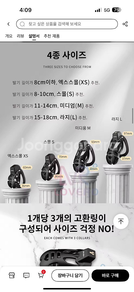 정조대--0