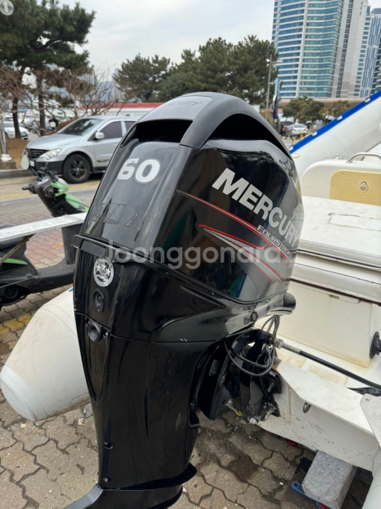 LodeStar 립보트 60마력 4T 판매합니다.--1