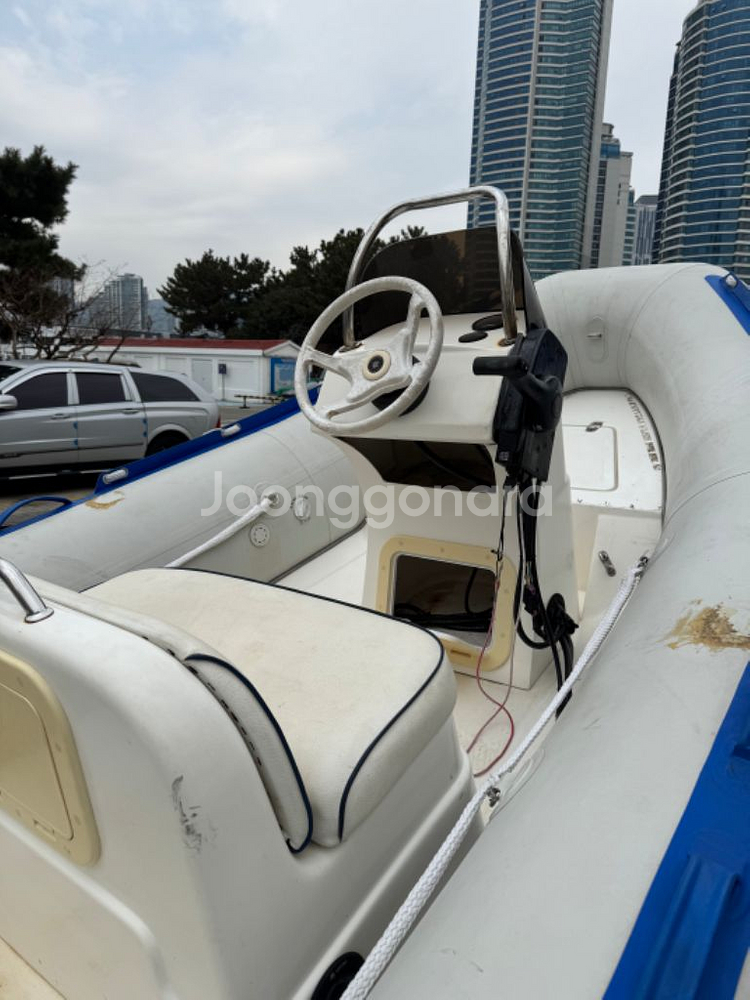 LodeStar 립보트 60마력 4T 판매합니다.--2