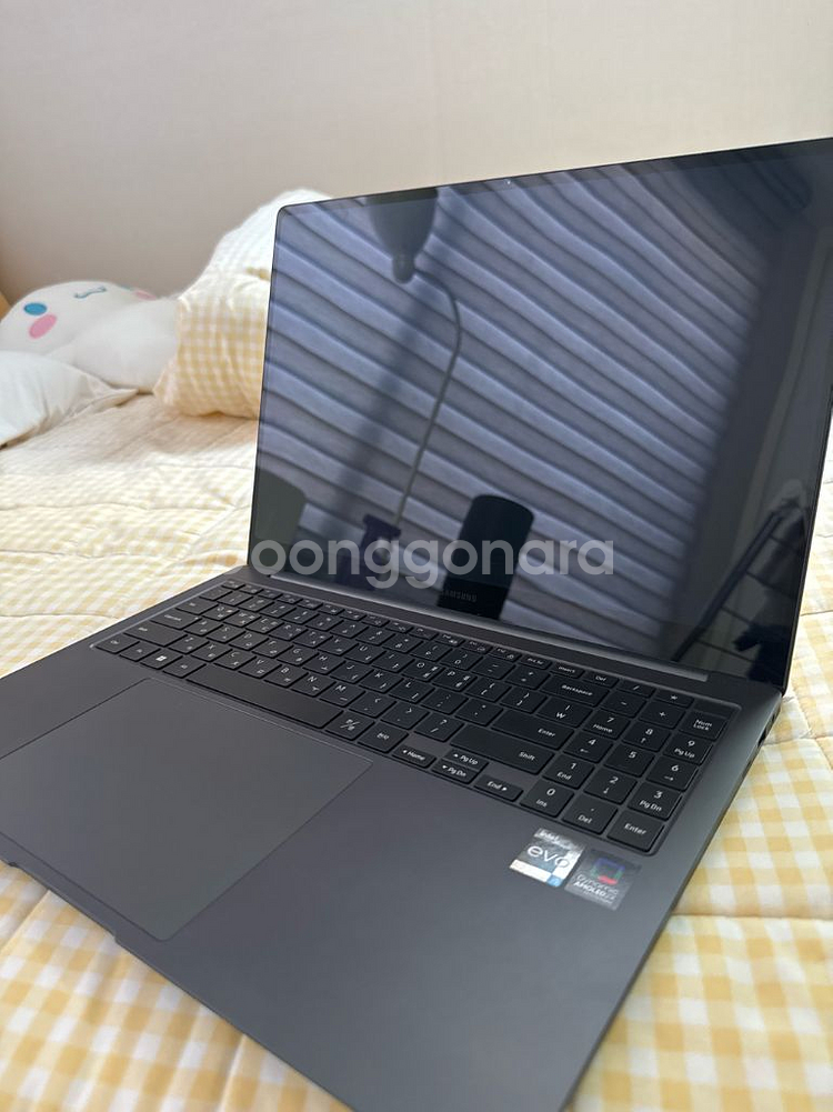 삼성 갤럭시 북2 Pro NT960XFG-KP51G--0