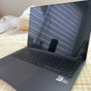 삼성 갤럭시 북2 Pro NT960XFG-KP51G