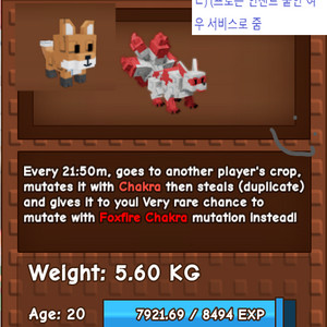 그로우어 가든 구미호