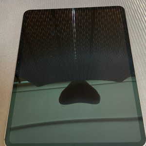 아이패드 프로 M4 13인치 1TB 셀률러 판매
