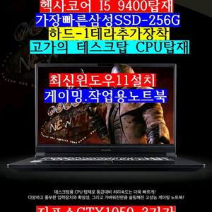대형17.3/i5 9400/램16/SSD256/1테라